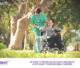 NDIS Career : Exploring Rewarding Opportunities